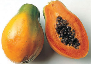 Papaya is a digestive aid