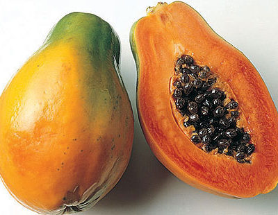 Papaya as a digestive aid