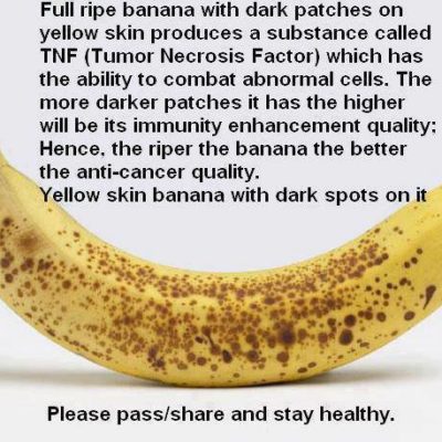 Bananas for anti-cancer qualities