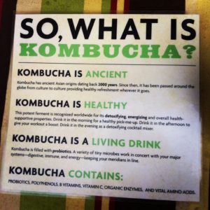 Kefir and Yogurt an Kombucha