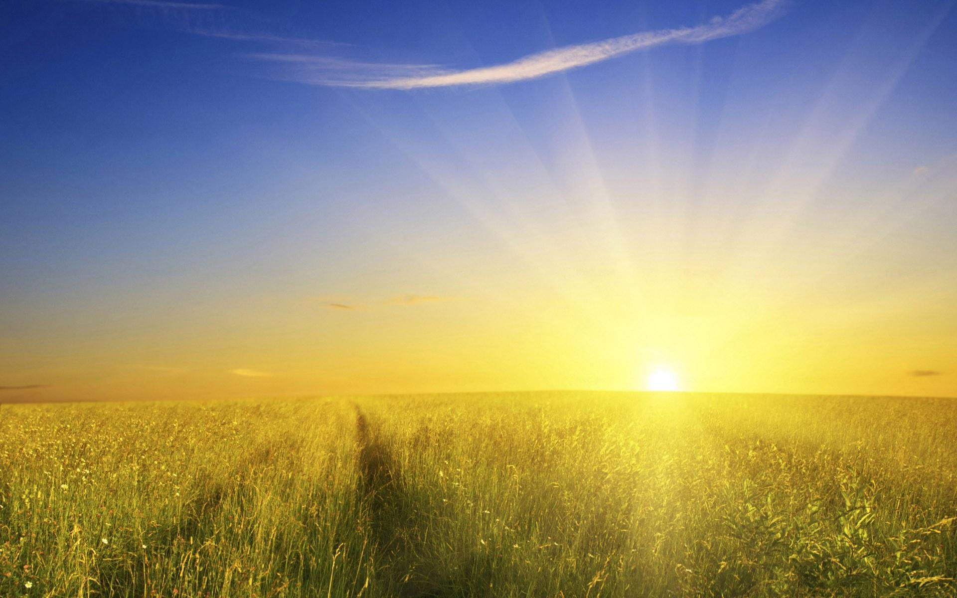 Why Is Sunlight Good For Your Health